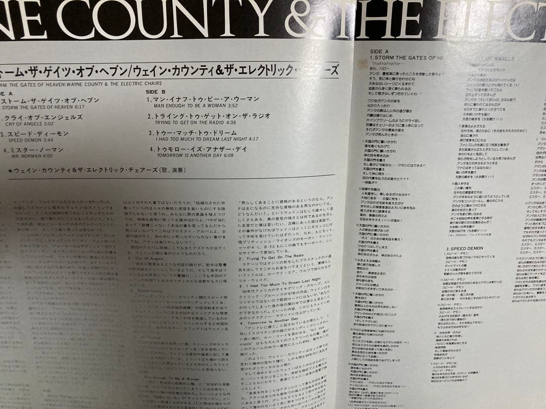 Wayne County & The Electric Chairs - Storm the Gates of Heaven Vinyl LP Japan