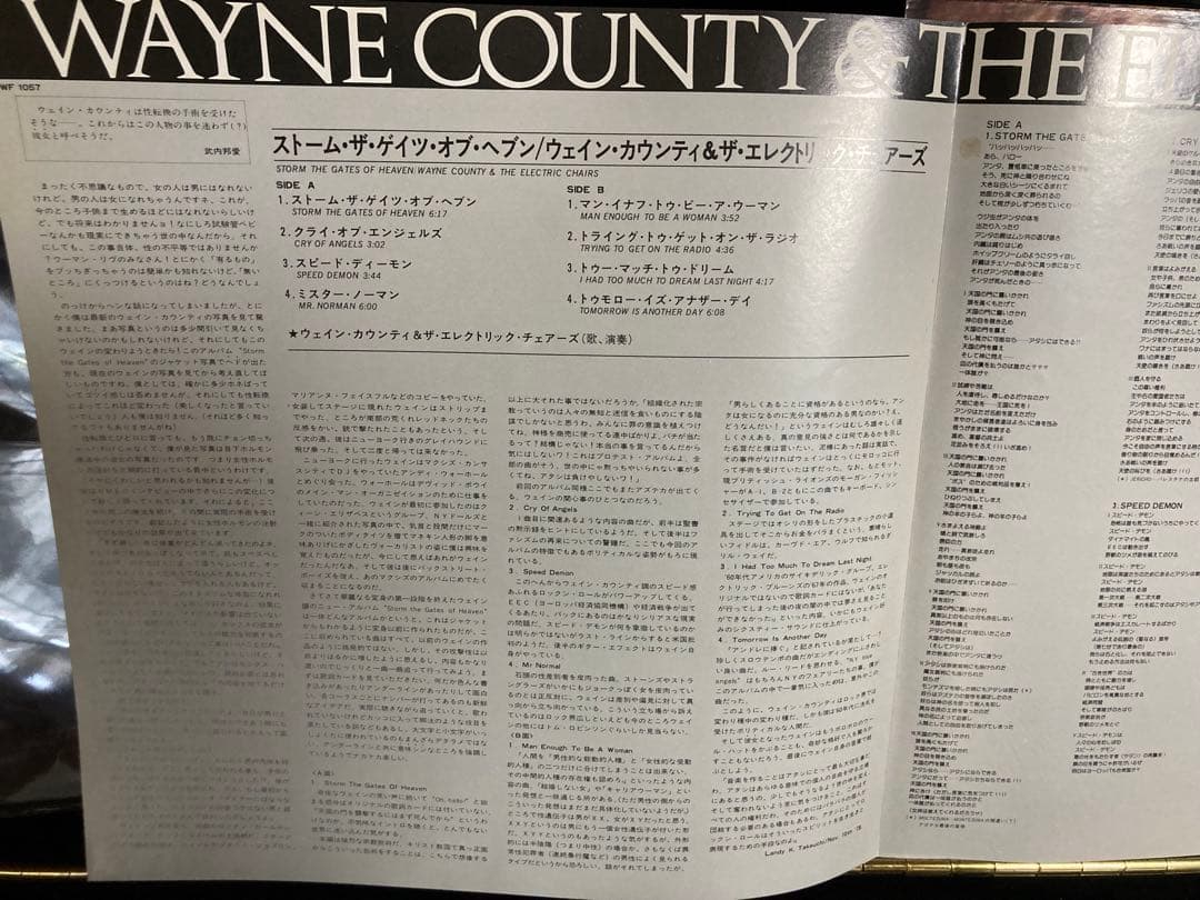 Wayne County & The Electric Chairs - Storm the Gates of Heaven Vinyl LP Japan