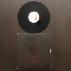 Joe & Jessey - Pure Hooney 12-inch Vinyl Record Dizco Inc & Studio 45 Mix