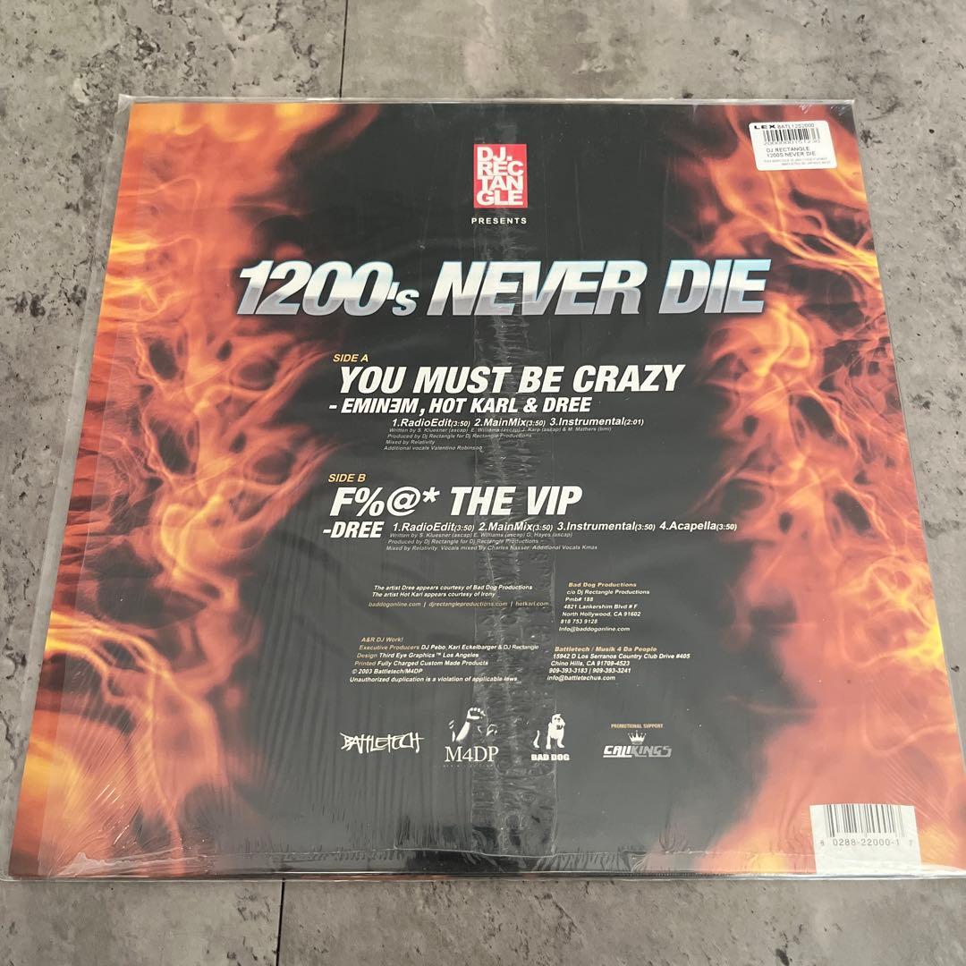 DJ Rectangle - 1200's Never Die 12" Vinyl EP Eminem Hot Karl Dree Hip Hop