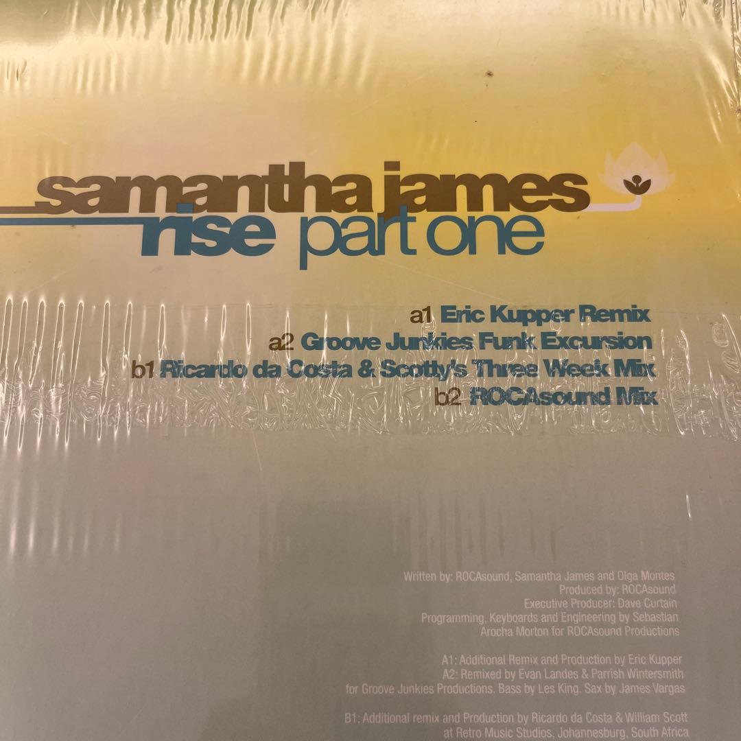 Samantha James Rise Part One LP Unopened Vinyl Record Black | Japansoundstore