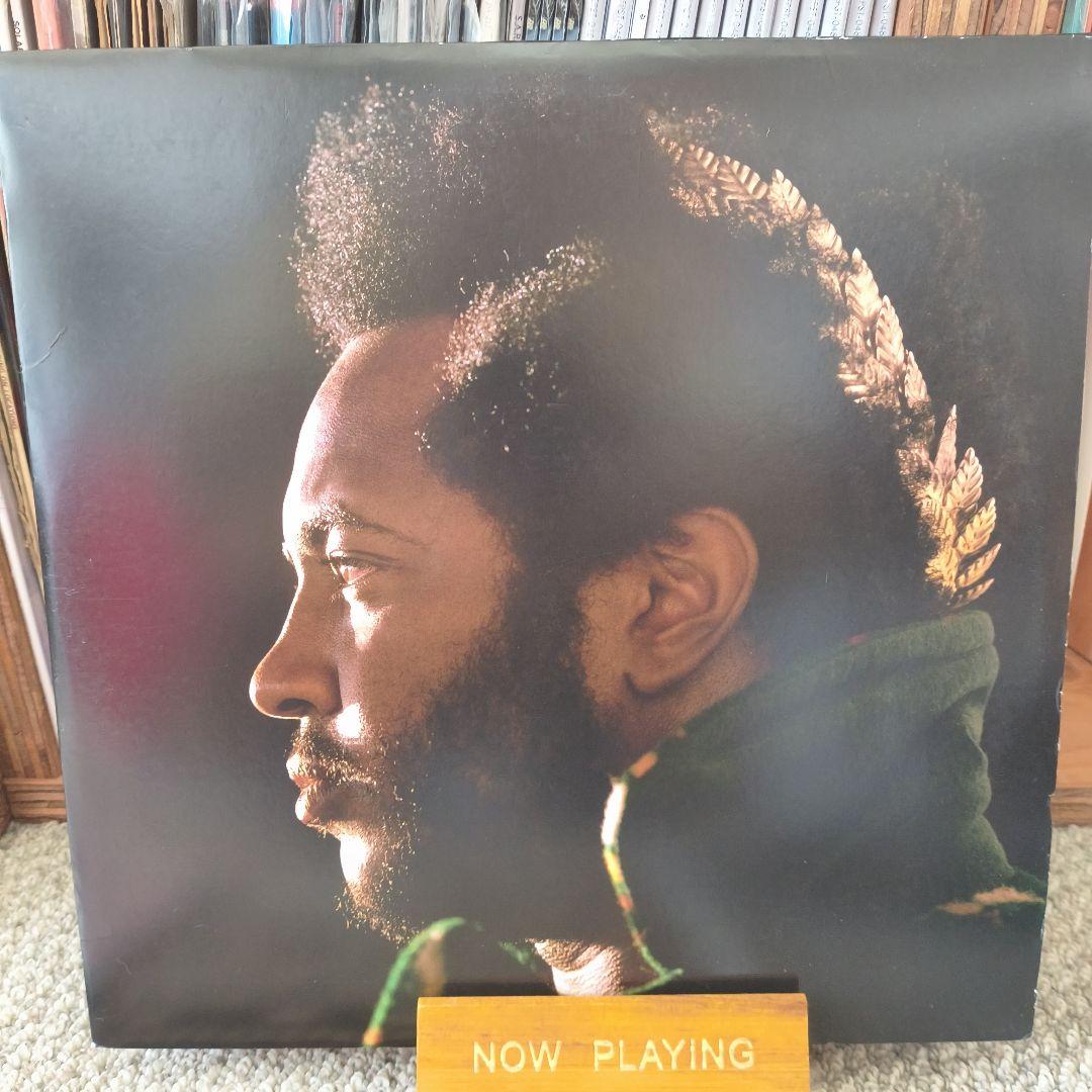Thundercat - Apocalypse Vinyl LP Brainfeeder Japan Import