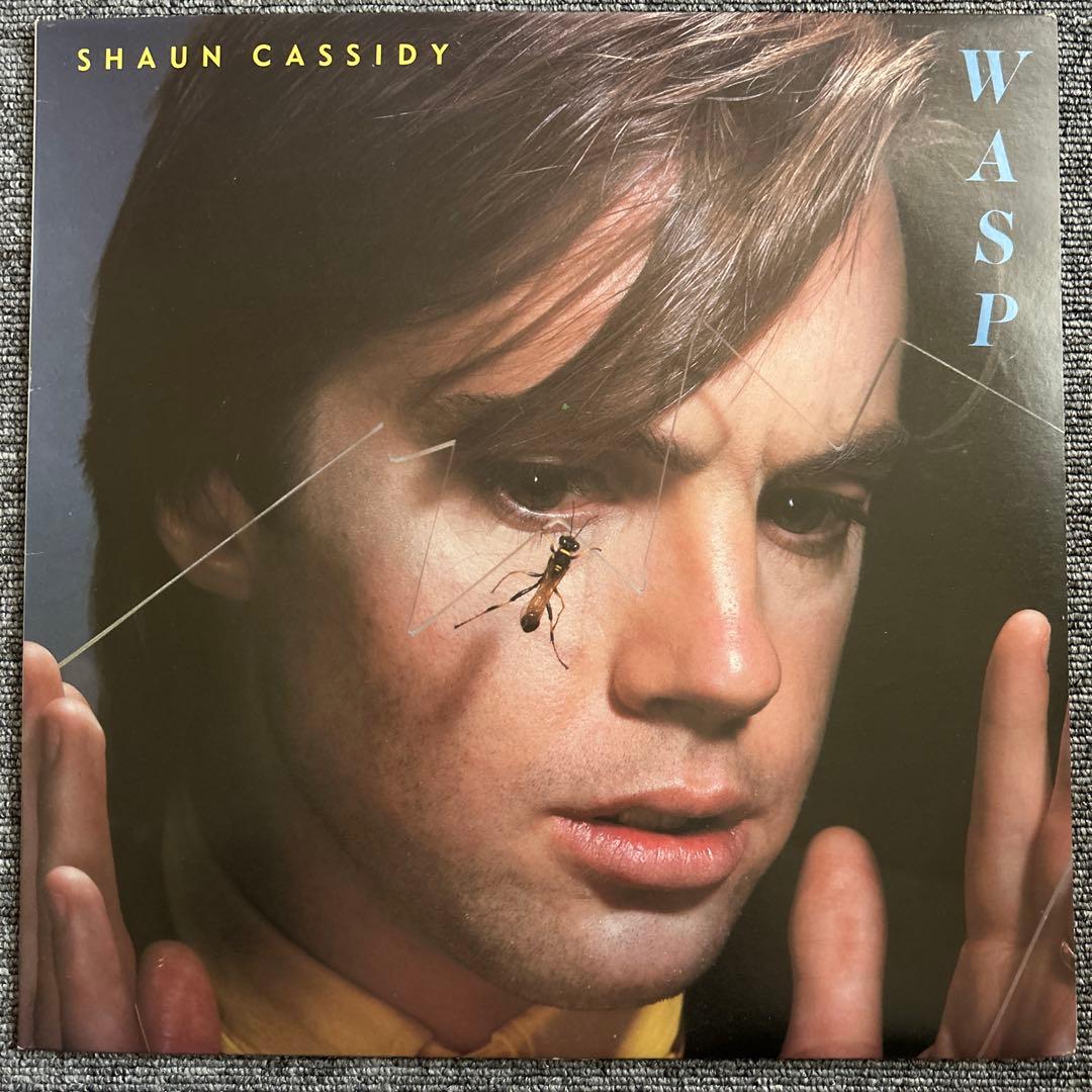 Shaun Cassidy - Wasp LP Vinyl 1980 Japan Todd Rundgren Production w/ Liner