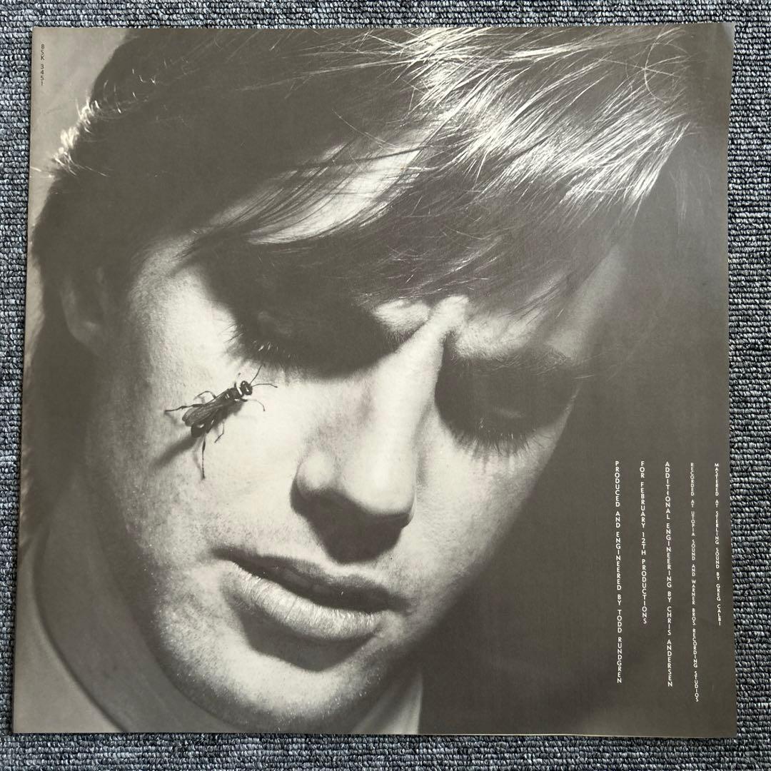 Shaun Cassidy - Wasp LP Vinyl 1980 Japan Todd Rundgren Production w/ Liner