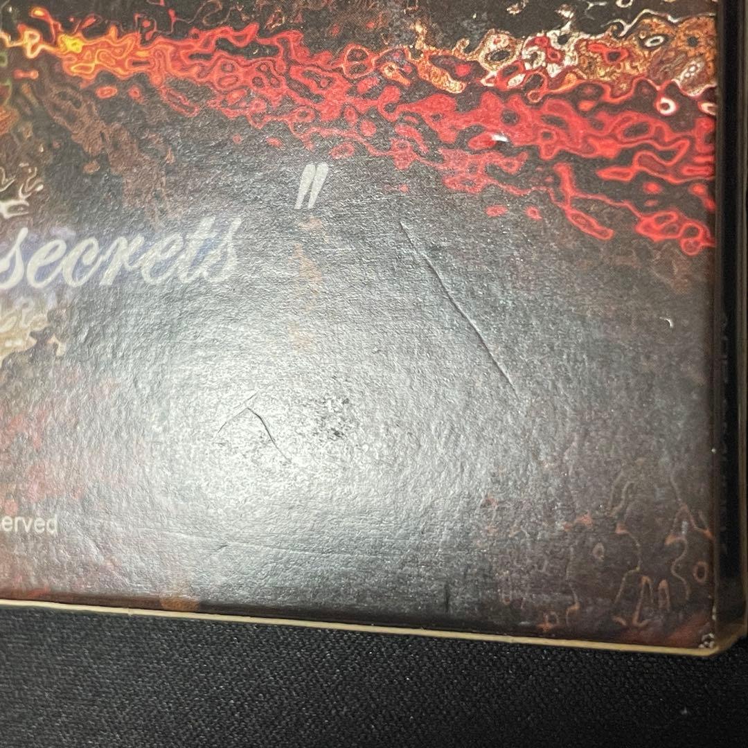 VishusgruV Dirty Little Secrets CD Limited Collectors Edition Japan Import AOR