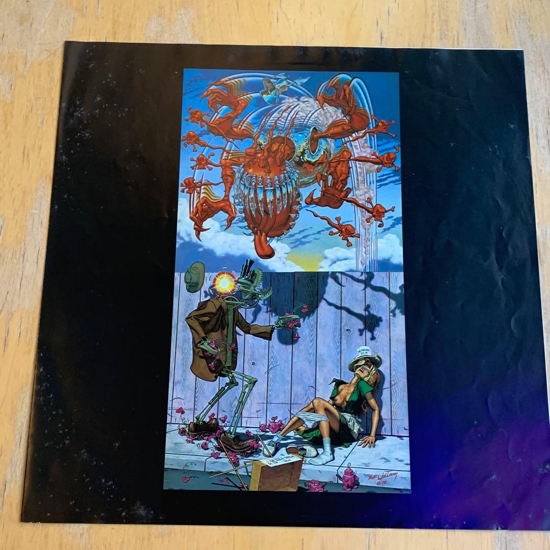 Guns N' Roses Appetite for Destruction LP with Obi, Used Record, Japan Import | Japansoundstore