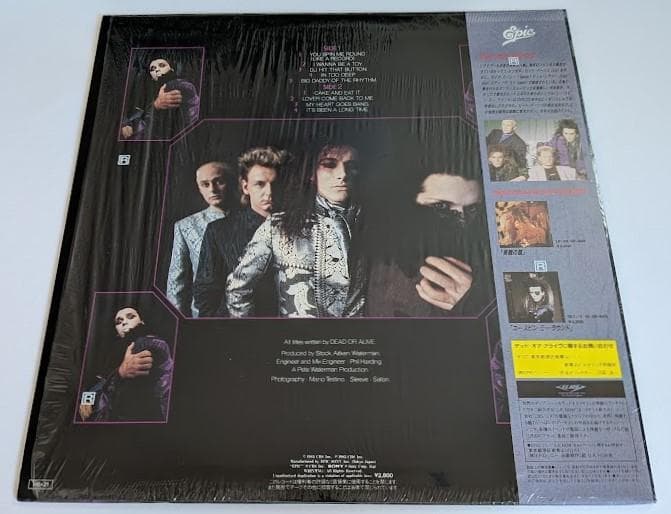 Dead Or Alive - Youthquake LP Japan Original Pressing w/ Obi & Liner Notes