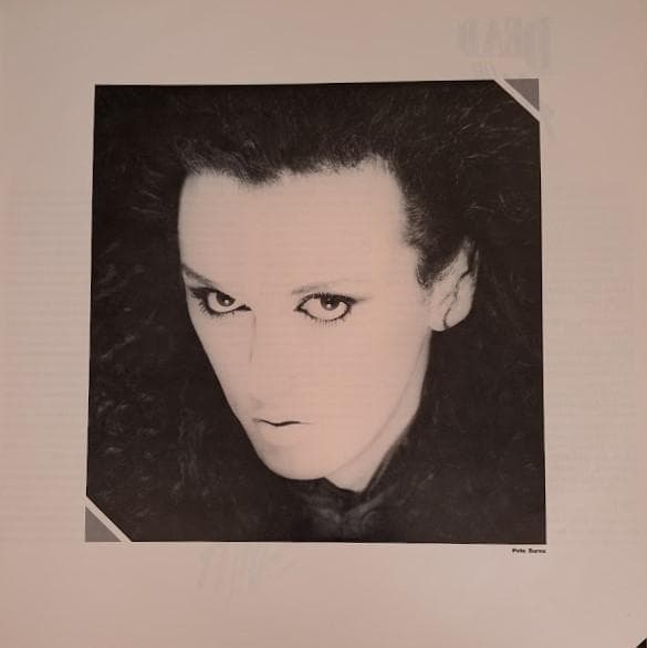 Dead Or Alive - Youthquake LP Japan Original Pressing w/ Obi & Liner Notes