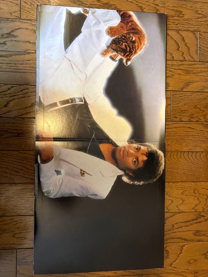 Michael Jackson Thriller Vinyl LP 1982 Japan 25-3P-399 Booklet Liner Notes