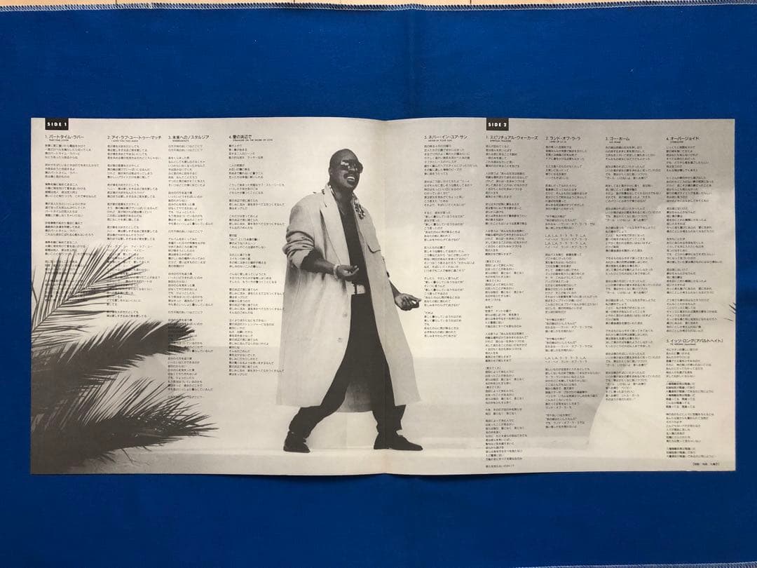 Stevie Wonder - In Square Circle Vinyl LP 1985 Japan VIL-28001 w/ Obi & Insert