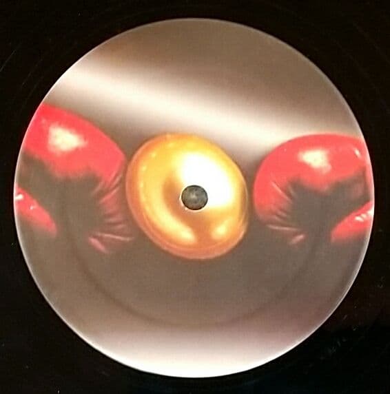 DJ Flex vs Prax Paris - Get Ya Hands Up 12" Vinyl Electronic House Club