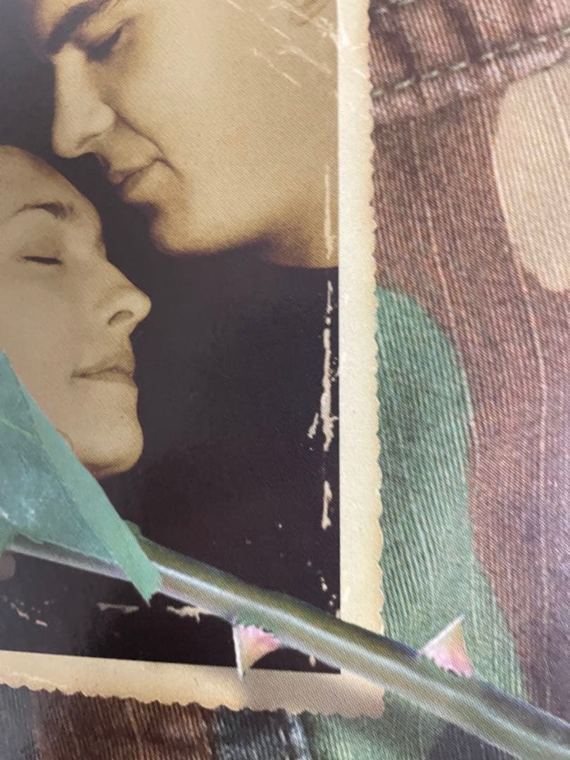 Neil Young - Are You Passionate? Vinyl 2LP 2002 Vapor Records Rare