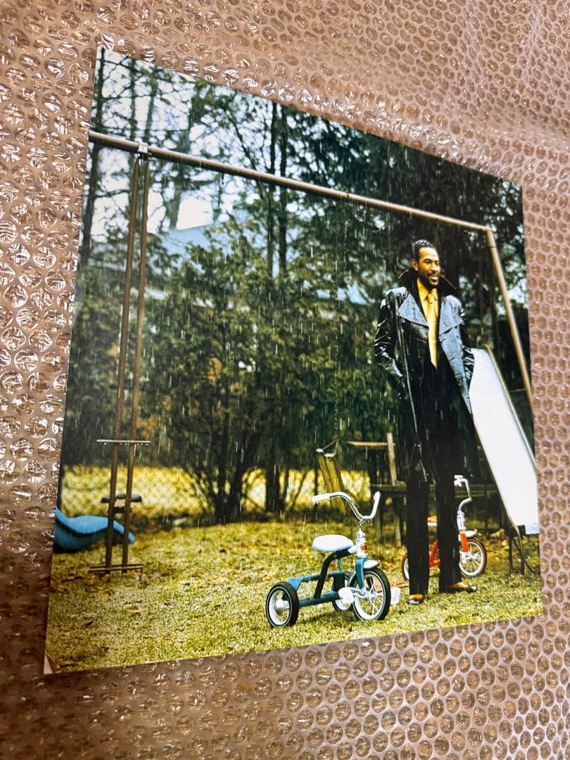 Marvin Gaye What's Going On 40th Anniversary Super Deluxe 2CD+LP Used | Japansoundstore