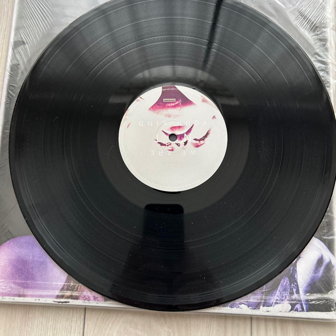 Slipknot - We Are Not Your Kind Vinyl LP Record Black Vinyl Nu Metal