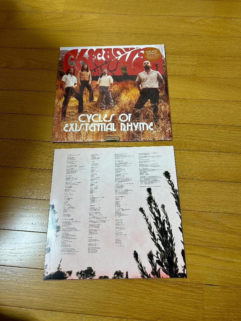 Chicano Batman - Cycles Of Existential Rhyme LP Marbled Vinyl Reissue