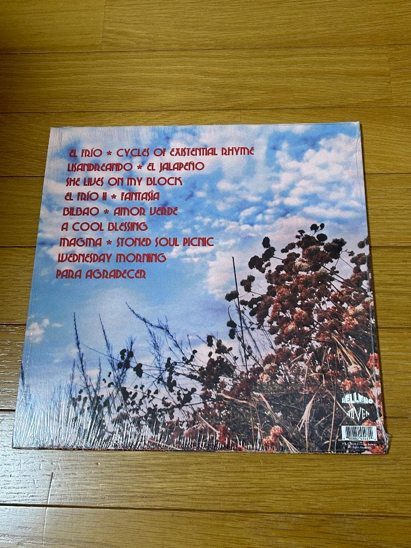 Chicano Batman - Cycles Of Existential Rhyme LP Marbled Vinyl Reissue