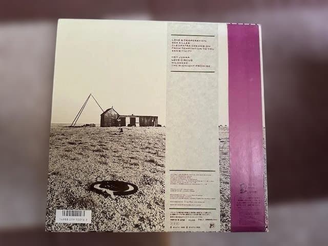 Jeffrey Lee Pierce Wildweed LP Japan Original w/ Obi Gun Club Goth Post-Punk