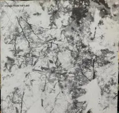 Voices From The Lake - Voices From The Lake 3LP Vinyl Ambient Techno Record
