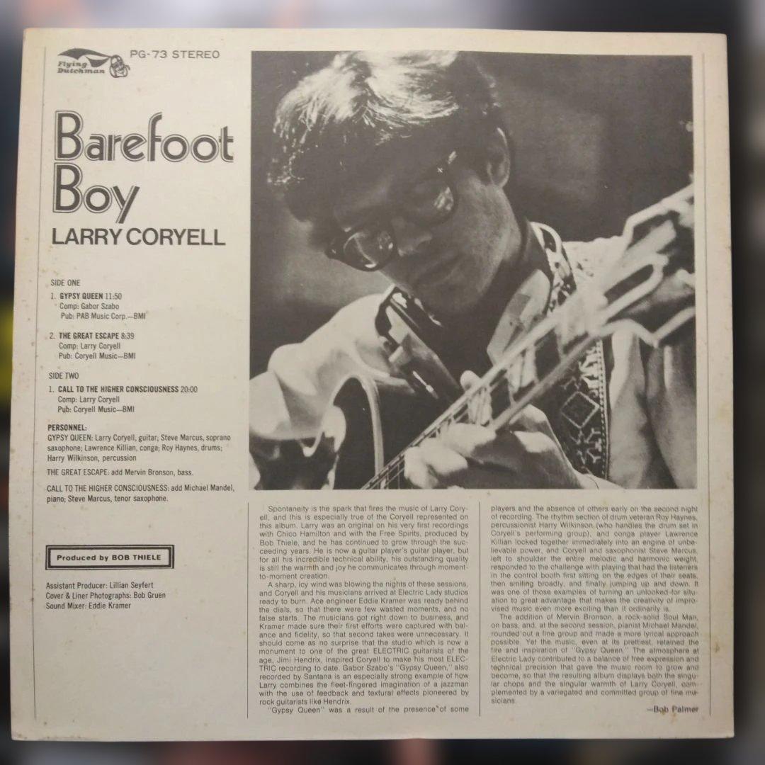 Larry Coryell Barefoot Boy LP Reissue 1978 Jazz Rock Vinyl Used | Japansoundstore