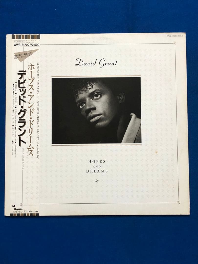 David Grant - Hopes And Dreams Vinyl LP Japan WWS-81722 With Obi 1985