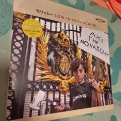 Morrissey Low In High School Limited Yellow Vinyl LP Record Japan Import