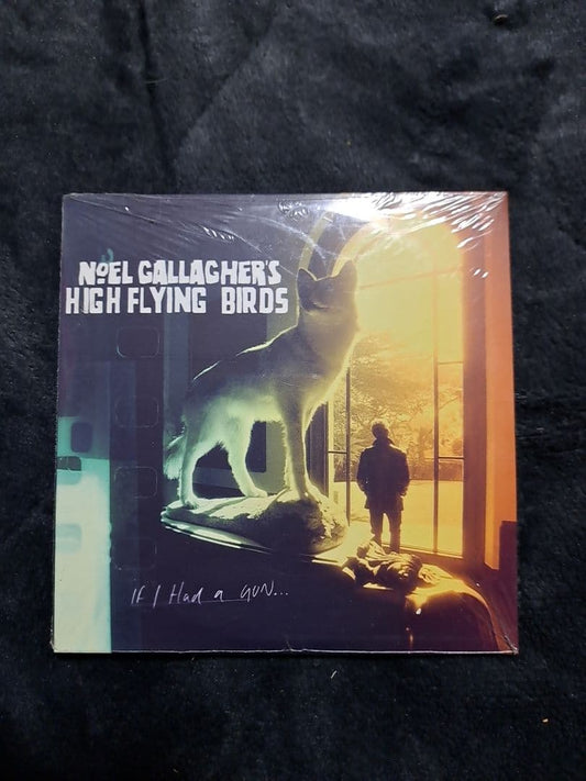 Noel Gallagher's High Flying Birds If I Had a Gun CD Limited Unopened Rare | Japansoundstore