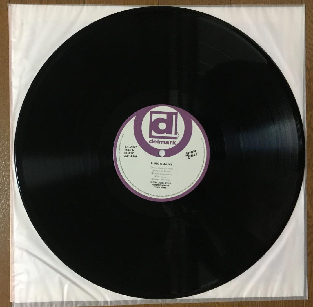 Sleepy John Estes & Hammie Nixon Blues Is A-Live Japan LP Vinyl Show Boat 1976