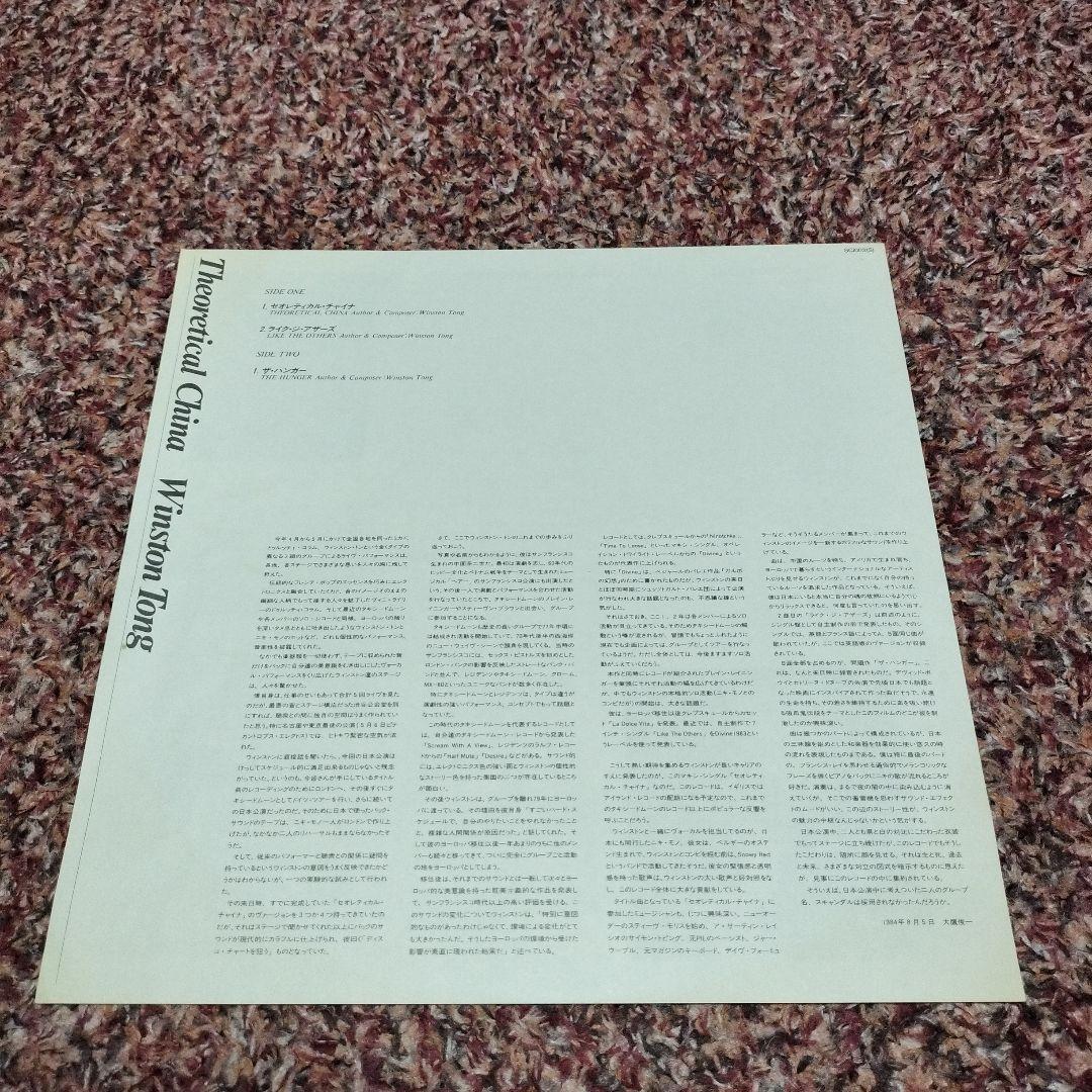 Winston Tong Vinyl LP Record Used Album Collectible Near Mint | Japansoundstore