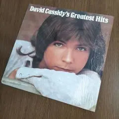 David Cassidy - David Cassidy's Greatest Hits LP US Import 1974 Bell 1321 Vinyl