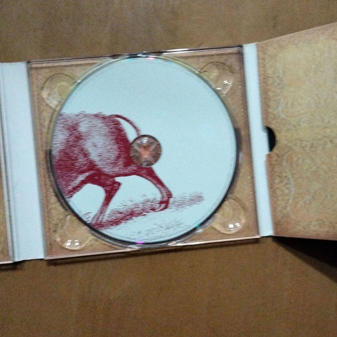 Foo Fighters - In Your Honor - 2CD Limited Edition Digipak - Import