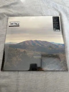 Dirty Projectors + Björk Mount Wittenberg Orca Vinyl LP Record Store Day Japan