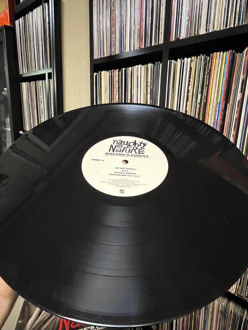 Naughty By Nature - Nature's Finest: Greatest Hits (1999) 2LP Vinyl Record