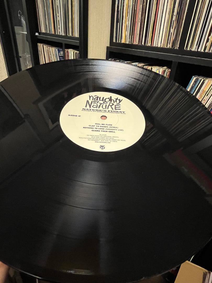 Naughty By Nature - Nature's Finest: Greatest Hits (1999) 2LP Vinyl Record