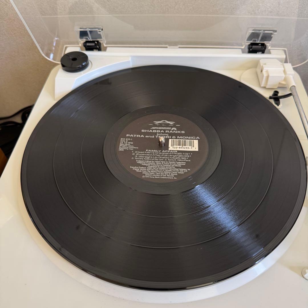 Shabba Ranks - Family Affair 12" Vinyl 1993 Feat. Patra Terri & Monica Rare