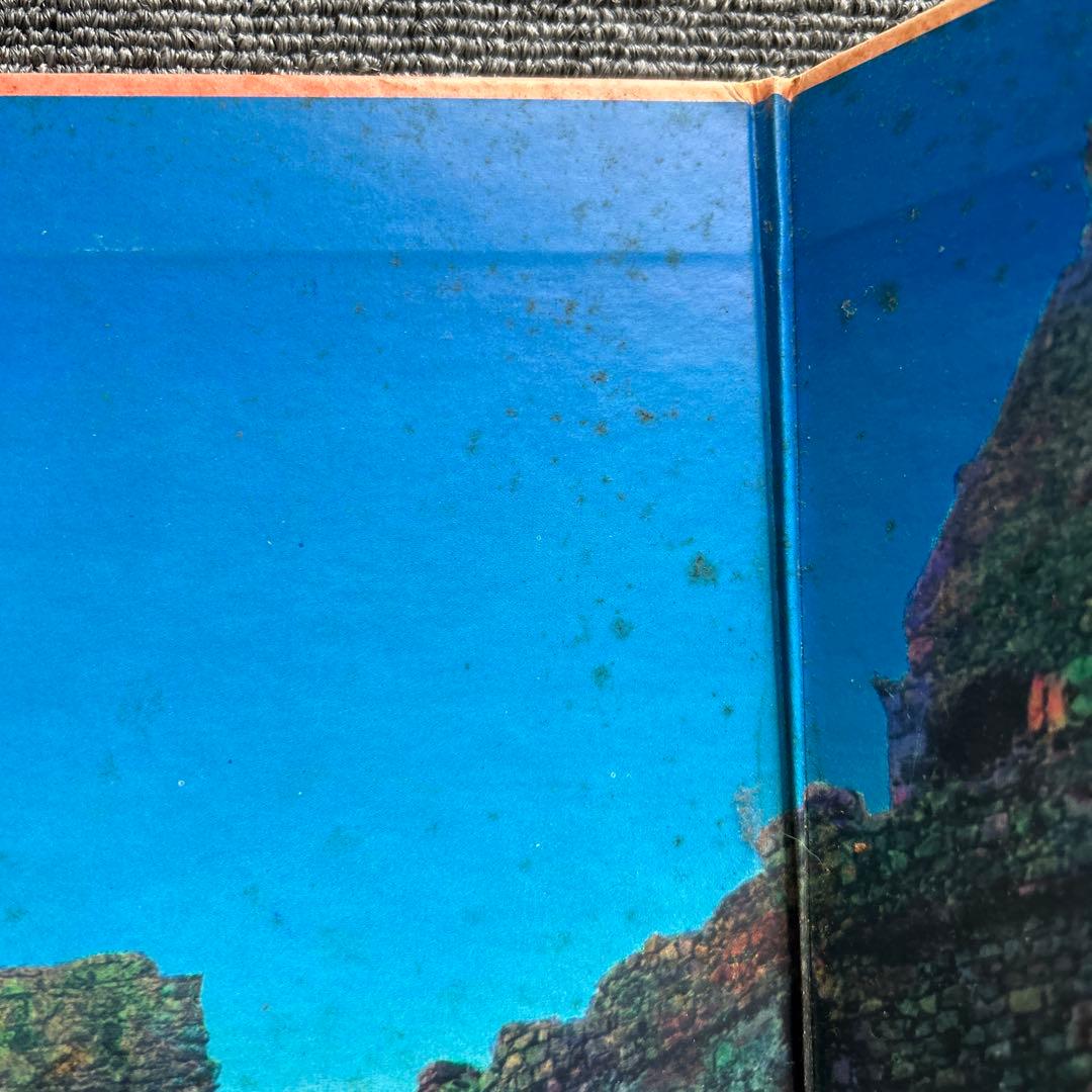 Led Zeppelin Sacred House LP Colorful Artwork, Used, Vinyl with Hairline Scratch | Japansoundstore