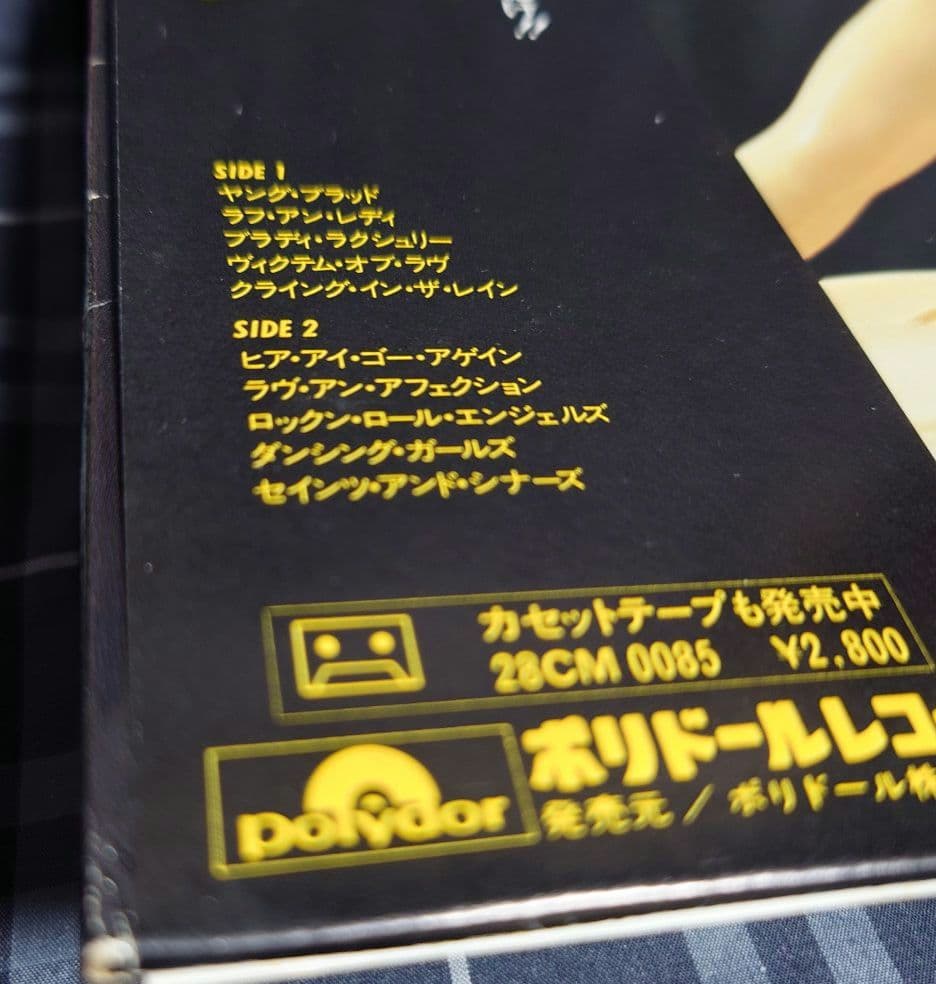 Whitesnake Saints & Sinners LP Japan OBI, EX+/B+ Condition, Hard Rock Vinyl | Japansoundstore