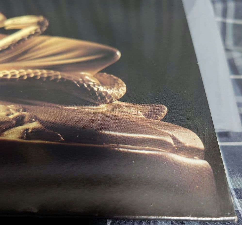 Whitesnake Saints & Sinners LP Japan OBI, EX+/B+ Condition, Hard Rock Vinyl | Japansoundstore