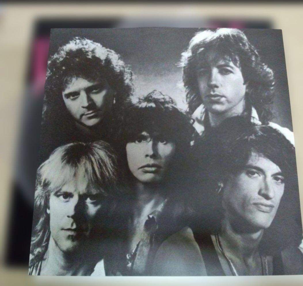 Aerosmith - Done With Mirrors Vinyl LP Japan First Pressing w/ Obi & Liner Notes