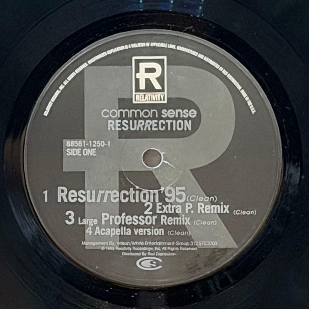 Common Sense Resurrection '95 12" Vinyl Original US Hip Hop Relativity Records