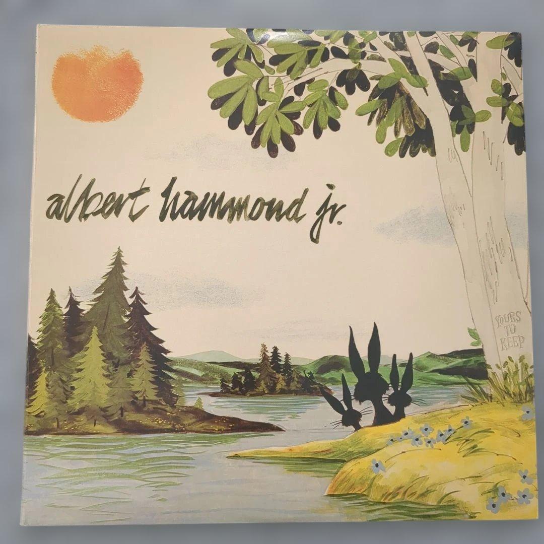 Albert Hammond Jr. - Yours To Keep - Vinyl LP - Strokes - NM