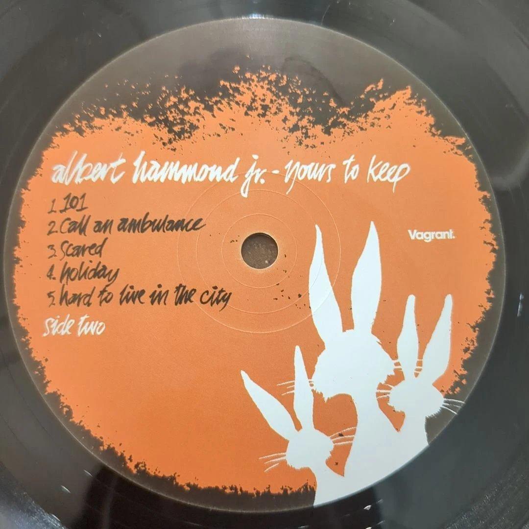 Albert Hammond Jr. - Yours To Keep - Vinyl LP - Strokes - NM