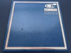 Common - Retrospect For Life 12" Vinyl Record feat. Lauryn Hill Hip Hop Japan