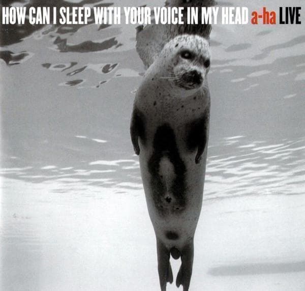 a-ha How Can I Sleep With Your Voice In My Head 2CD Live Album Import