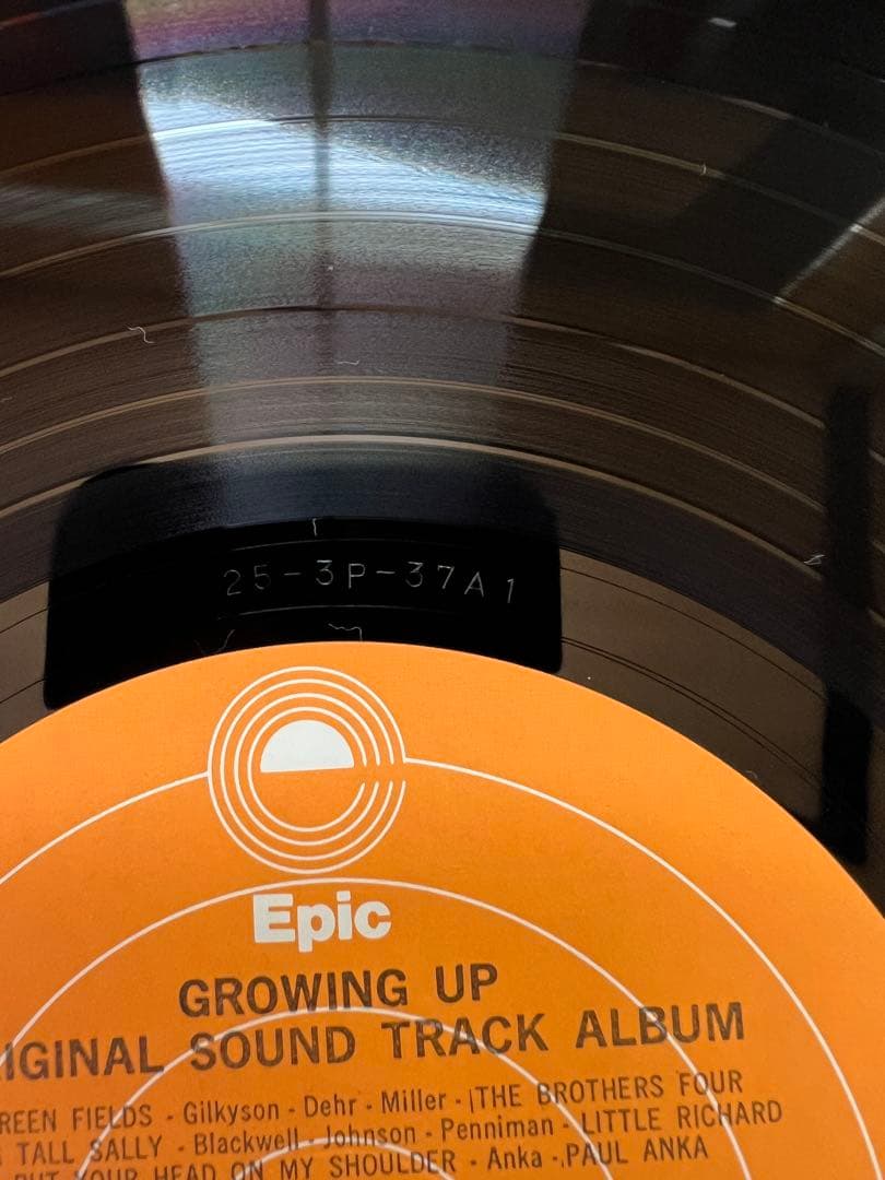 Growing Up Original Soundtrack LP Japan 1978 Soundtrack Compilation w/ OBI