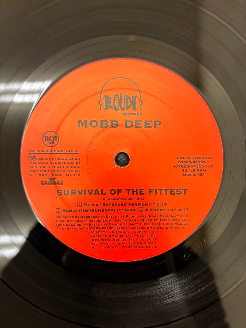 Mobb Deep - Survival Of The Fittest 12" Vinyl Classic 90s Hip Hop