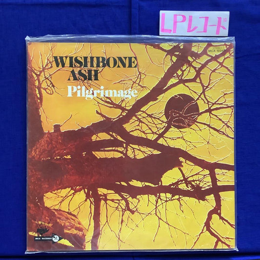 Wishbone Ash Pilgrimage 12" LP Rock, Hard/Prog, Japan Import Used | Japansoundstore