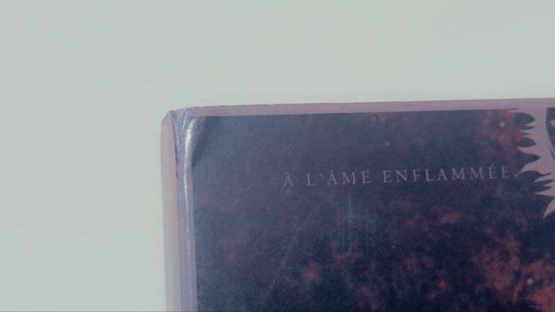 Gris À L'Âme Enflammée CD Limited Digipack 500pcs Rare Used | Japansoundstore