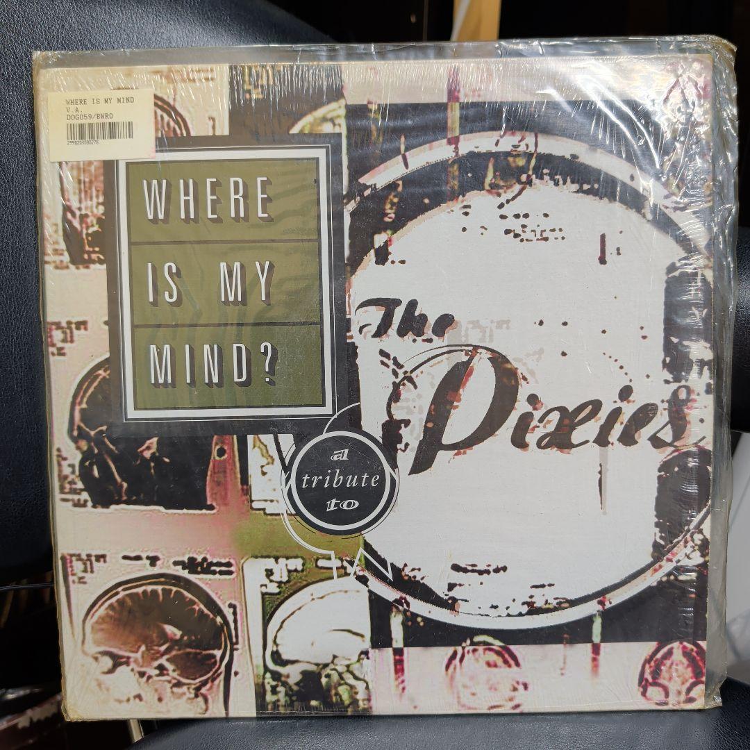 Pixies Tribute Where Is My Mind? 2LP Rare Limited Blue Vinyl 1999 Doghouse Rare