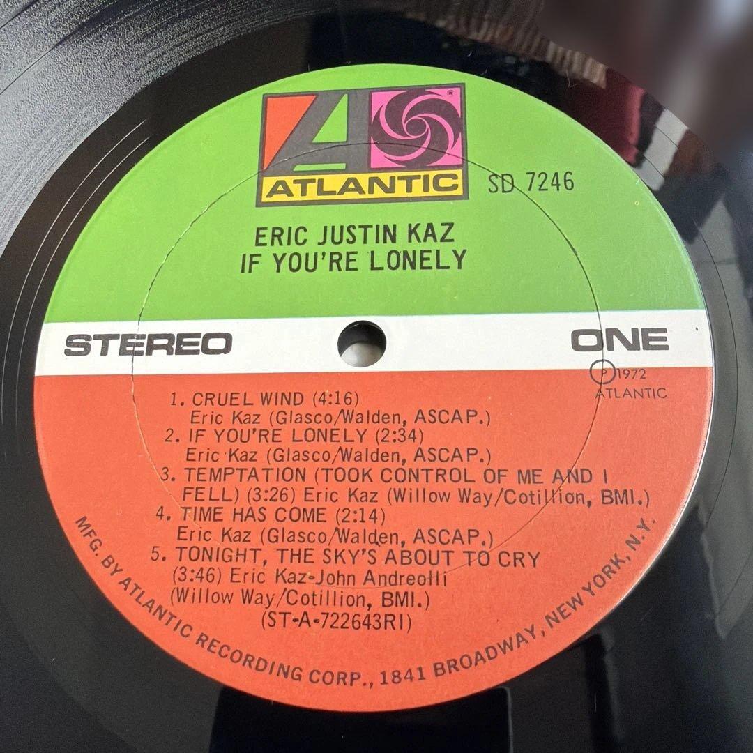 Eric Justin Kaz - If You're Lonely 1972 LP US Pressing Atlantic SD 7246 Folk