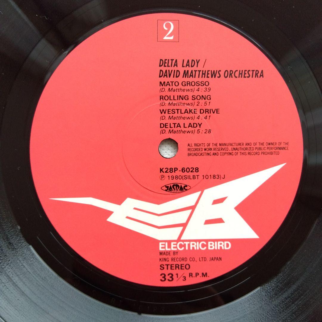 David Matthews Orchestra - Delta Lady Japan Vinyl LP K28P-6028 Fusion Jazz